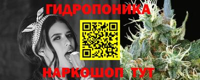 2c-b Кимры