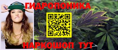 2c-b Кимры