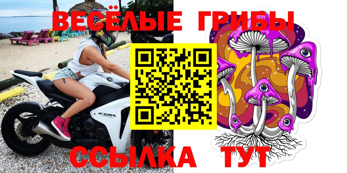 Галлюциногенные грибы мухоморы Краснознаменск